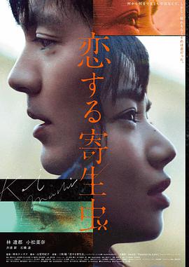 悬疑新片